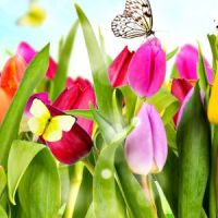 Spring Psychic Fayre at Lyppard Grange Community Centre at Lyppard Grange Community Centre