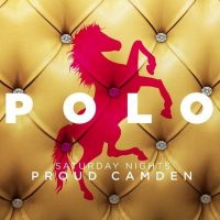 Polo: Sticky at Proud Camden