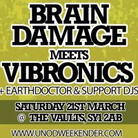 brain damage meets vibronics - united nations of dub 2015 launch at The Vaults,