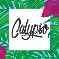 CALYPSO PRESENTS LOVEBIRDS VALENTINES DISCO at La Belle Angele