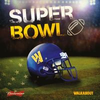 Super Bowl 2015 at Walkabout Bournemouth at Walkabout - Bournemouth
