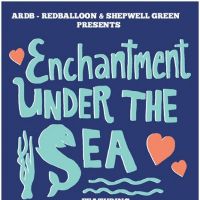 Charity Enchantment under the sea valentines live band&disco at Shepwell Green Social Club