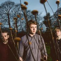 Fawn Spots at Nation Of Shopkeepers