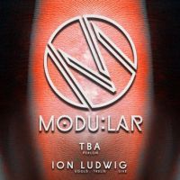 MODU:LAR - 1st Birthday Party w/ Fumiya Tanaka + Ion Ludwig live at MODULAR Venue TBA