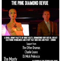 The Pink Diamond Revue + The Other Dramas + Charlie Leavy + DJ M at The Monty