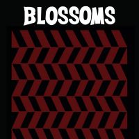 BLOSSOMS at Brudenell Social Club