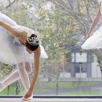 Vienna Festival Ballet: 35th Anniversary Gala at The Playhouse