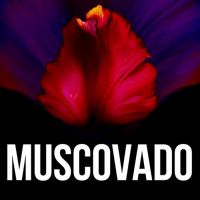 Muscovado: A new play about slavery in 1800s Barbados at Stoke Damerel Church
