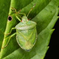 Wildlife Of The World at Castlemead