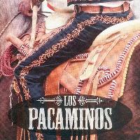 Paul Young's Los Pacaminos at The Arc